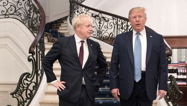  Boris Johnson -  Donald Trump  - Sputnik Türkiye