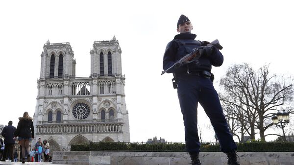 Fransa'da başkent Paris'teki Notre Dame Katedrali önünde nöbet tutan polis-2016 - Sputnik Türkiye