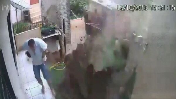 Brezilya’da bir adam, bahçesindeki hamam böceklerini öldürmek isterken bahçesini havaya uçurdu. Evin güvenlik kameraları, patlama anını saniye saniye görüntüledi. - Sputnik Türkiye