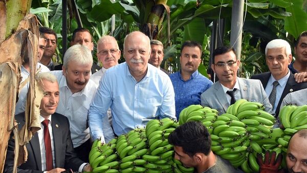 Türkiye Ziraat Odaları Birliği (TZOB) Başkanı Şemsi Bayraktar (sağda), muz, narenciye ve domates hasadı için geldiği Antalya'nın Alanya ilçesinde Alanya Ziraat Odası'nı ziyaret etti. - Sputnik Türkiye