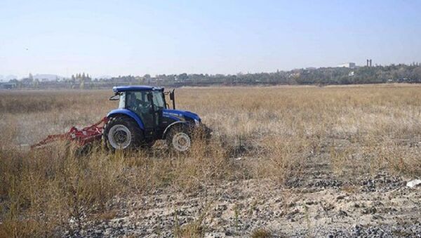 Ankara AOÇ arazisinde çiftçiler için tohum üretilecek - Sputnik Türkiye