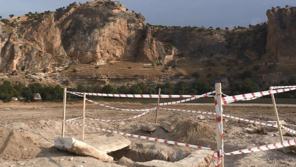 Ağaç dikme kampanyası sırasında 4 iskelet, 1 mezar bulundu - Sputnik Türkiye