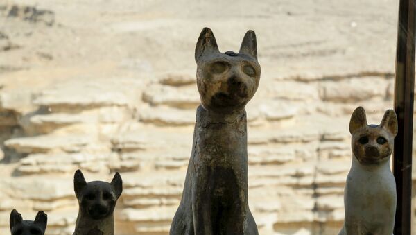 Mısır'da kedi heykelleri ve mumyaları bulundu - Sputnik Türkiye