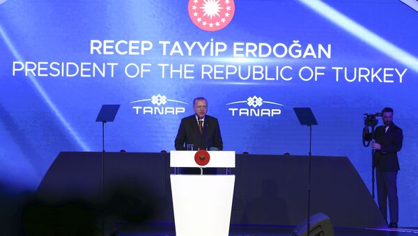  Recep Tayyip Erdoğan  - Sputnik Türkiye