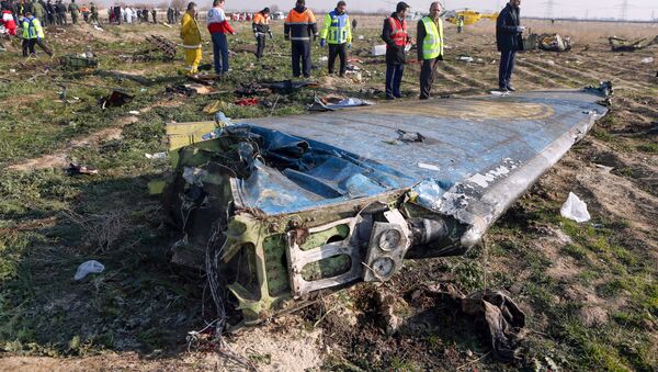 Ukrayna Havayolları'na ait Boeing 737 tipi yolcu uçağı, Tahran İmam Humeyni Havalimanı'ndan Ukrayna'nın başkenti Kiev'e gitmek üzere havalandıktan kısa bir süre sonra düştü. - Sputnik Türkiye