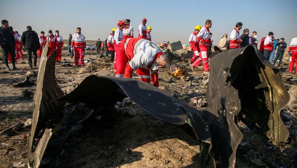 İran Kızılayı çalışanları Tahran'da düşen Ukrayna yolcu uçağının enkazında incelemelerde bulunurken - Sputnik Türkiye