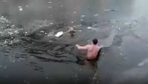 Rusya’da donmuş nehre düşen köpeği gören bir adam, soğuk suya atladı. O görüntüler sosyal medyada yoğun ilgi çekerken, yapılan yorumlarda köpeğin kurtarıcısı tebrik edildi. - Sputnik Türkiye