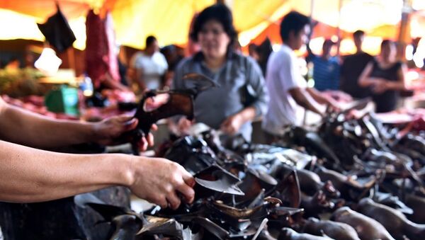  Koronavirüs salgınına rağmen yarasa eti Endonezya'da popüler - Sputnik Türkiye