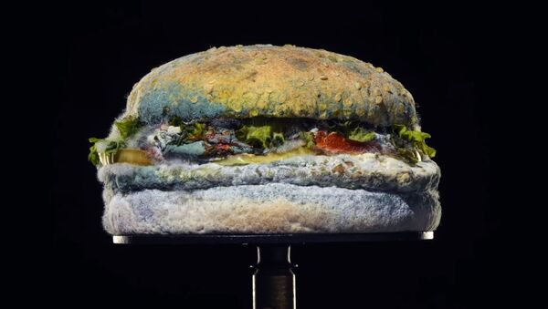 Küflü Whopper, Burger King - Sputnik Türkiye