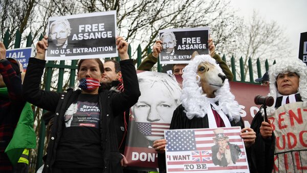 Julian Assange-ABD'ye iade davası - Sputnik Türkiye