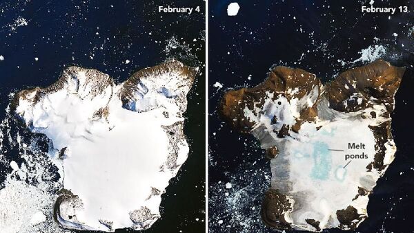 NASA Antarktika’da buzul erimesinin yarattığı etkiyi uzaydan görüntüledi - Sputnik Türkiye