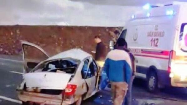 Şanlıurfa'da bir sürücü köpeğe çarpmamak için manevra yaptı, 1 kişi öldü - Sputnik Türkiye