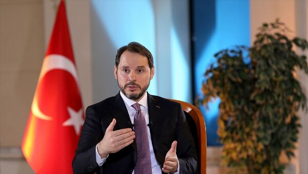 Hazine ve Maliye Bakanı Berat Albayrak  - Sputnik Türkiye