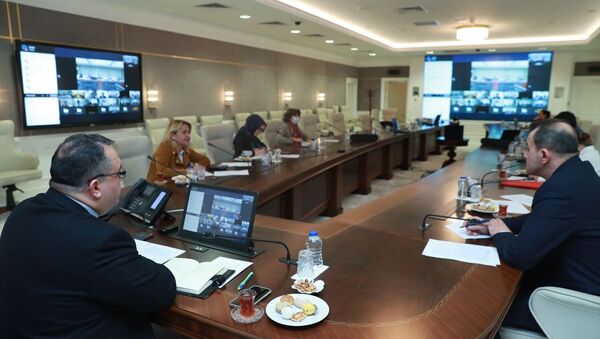 Sağlık Bakanlığı Koronavirüs Bilim Kurulu üyeleri, Çinli yetkililer ve bilim insanları ile video konferans gerçekleştirdi.  - Sputnik Türkiye
