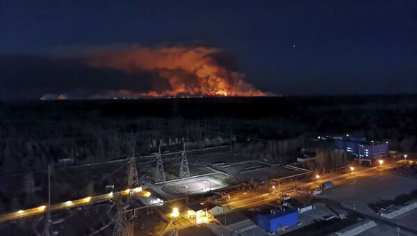 Ukrayna'nın Çernobil bölgesindeki orman yangını - Sputnik Türkiye
