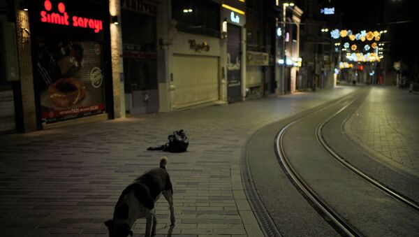 İstanbul'da sokağa çıkma kısıtlaması saatler 00.00 gösterdiği andan itibaren uygulanmaya başlandı. İstanbul'un yolları ve sokakları boş kaldı. - Sputnik Türkiye