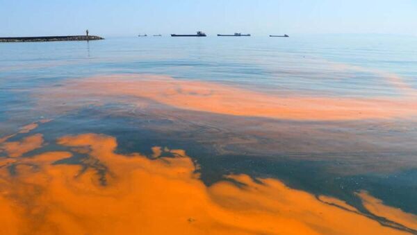 Marmara Denizi'nde bazı bölgeler turuncuya büründü - Sputnik Türkiye