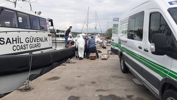 Kocaeli'de demirli kuru yük gemisinin ikinci kaptanı gemideki odasında ölü bulundu. - Sputnik Türkiye