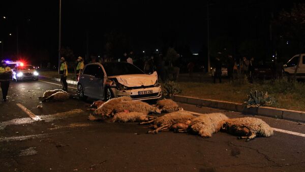 Elazığ’da yarış yapan 2 otomobil koyun sürüsüne daldı, 30'unu öldürdü. - Sputnik Türkiye