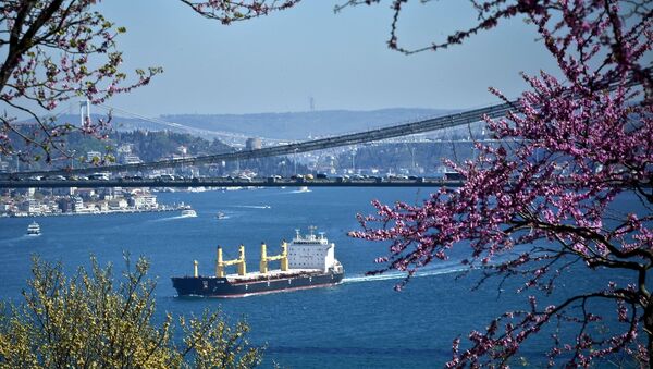 İstanbul'da erguvan mevsimi - Sputnik Türkiye