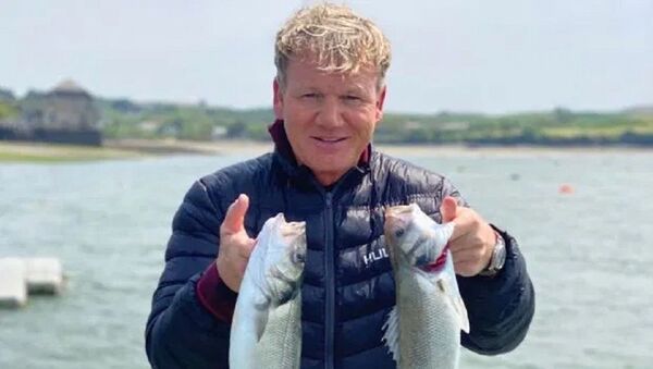 Salgın tedbirleri kapsamında yasaklanmasına rağmen balık tutmaya çıkan, üstelik avladığı balıkları Instagram'da paylaşan ünlü İngiliz şef Gordon Ramsay, büyük tepki çekti. - Sputnik Türkiye