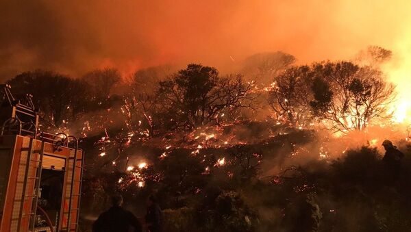 Antalya'nın Kaş ilçesi Çukurbağ Yarımada mevkiinde çıkan orman yangını kontrol altına alındı - Sputnik Türkiye