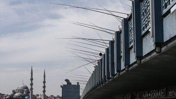 10 Nisan'dan bu yana kısıtlama olmayan ilk hafta sonu: Vatandaşlar balık tuttu, alışveriş yaptı - Sputnik Türkiye