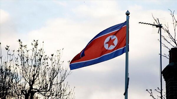 Kuzey Kore bayrağı - Sputnik Türkiye