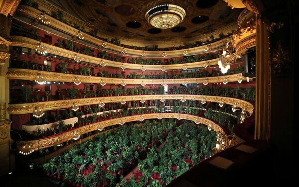 Konser için Gran Teatre del Liceu'nun koltuklarına tam 2 bin 292 bitki yerleştirildi. - Sputnik Türkiye