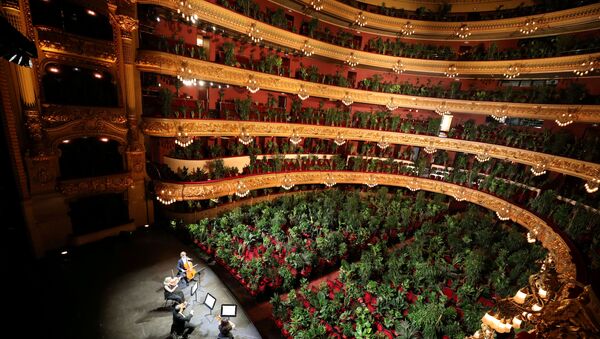 Karantinadan sonra kapılarını açan Barcelona operası ilk konseri bitkilere verdi - Sputnik Türkiye